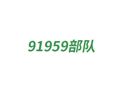 91959部隊(duì)